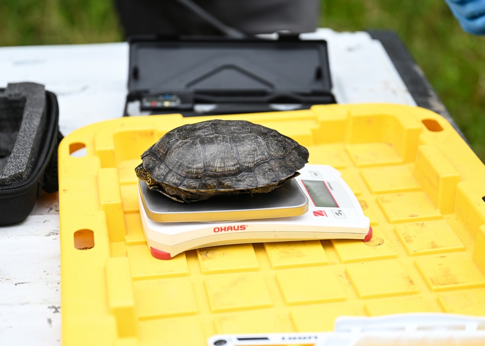 Preserving Nature, Empowering Launch