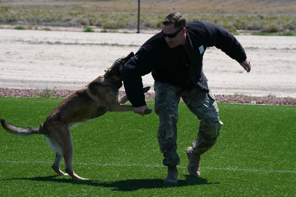 Defender Week: Let the obstacles come
