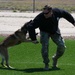 Defender Week: Let the obstacles come