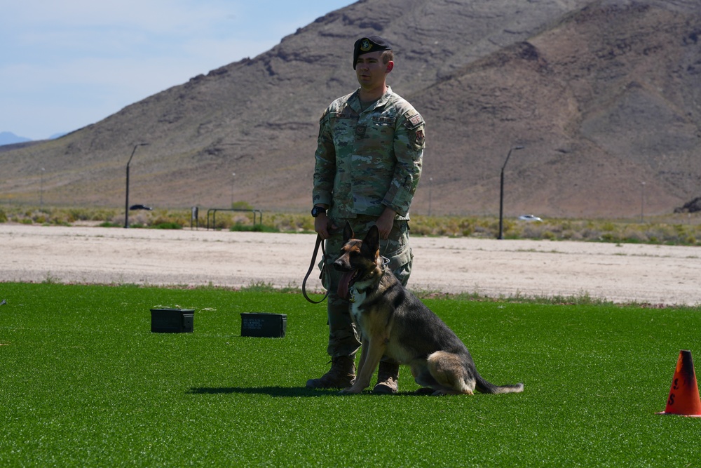 Defender Week: Let the obstacles come