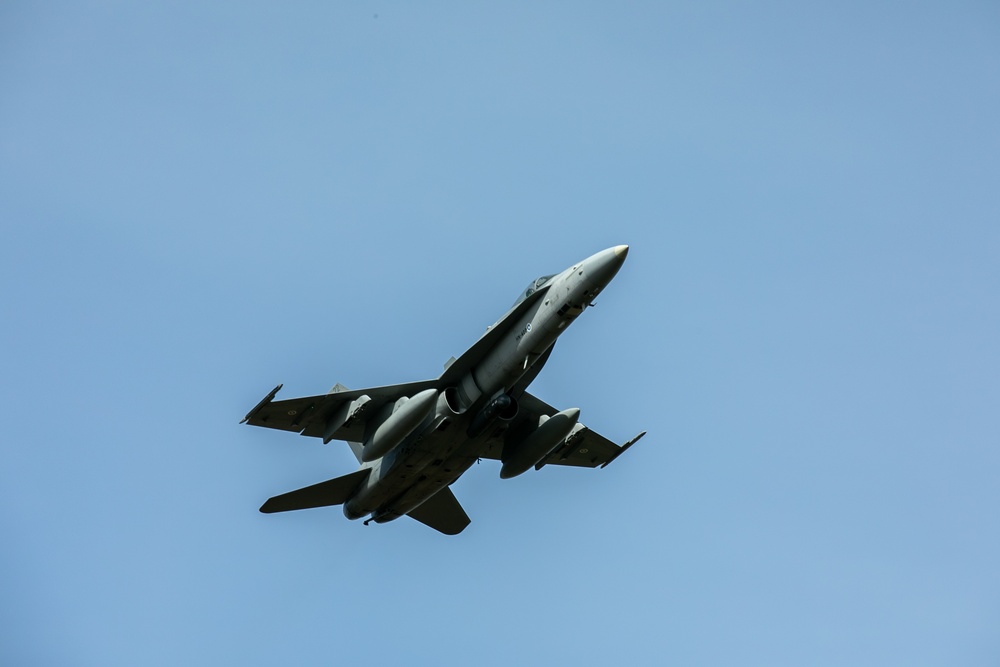 Finnish Airforce F/A-18