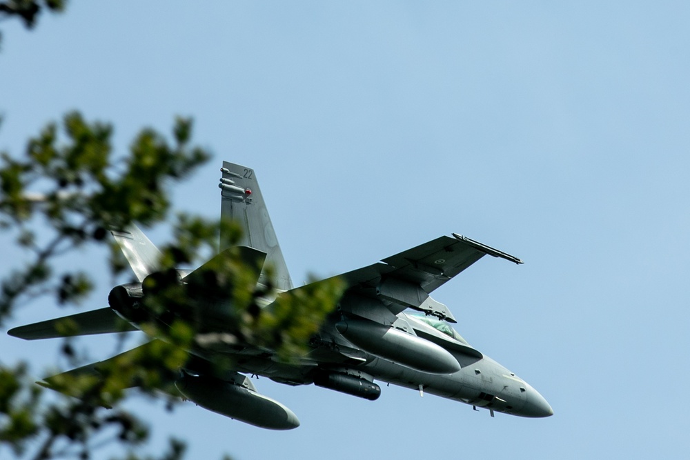 Finnish Airforce F/A-18