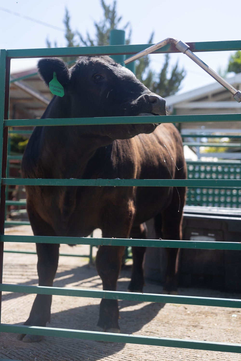 Marines attend Calaveras County Fair