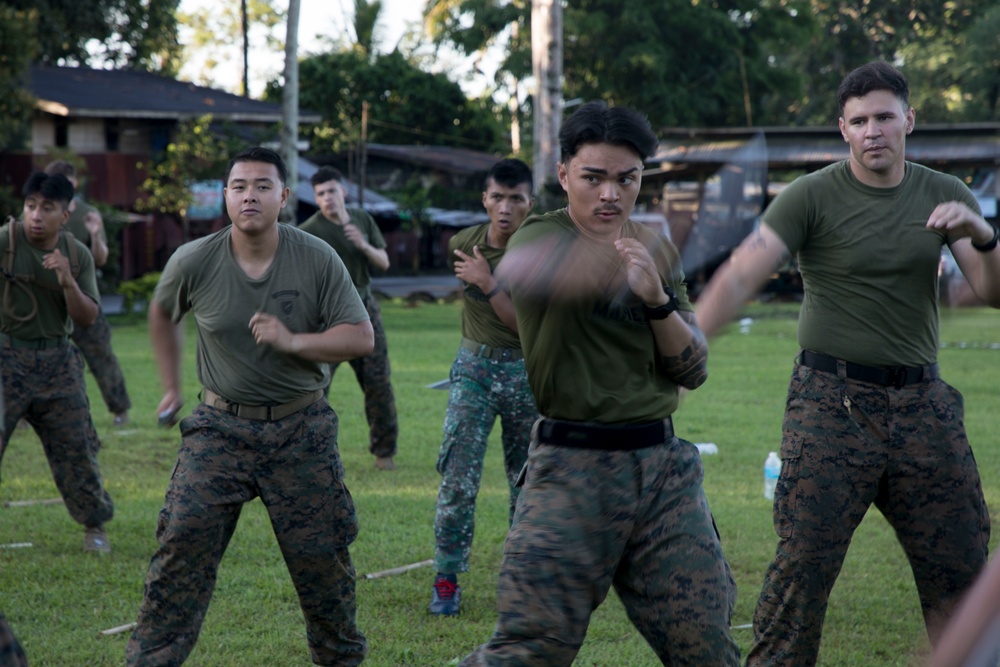 ACDC: 1/7, Philippine service members conduct martial arts training
