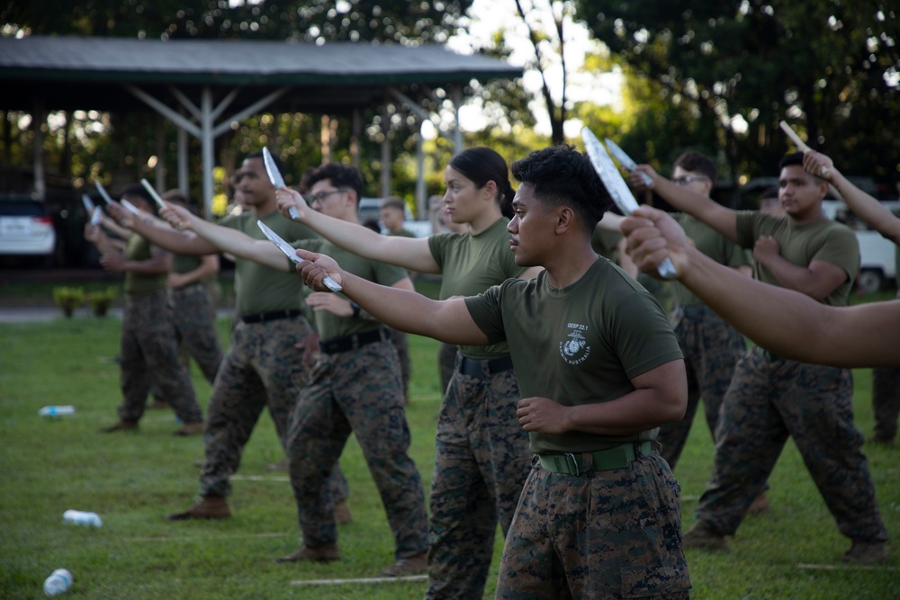 ACDC: 1/7, Philippine service members conduct martial arts training