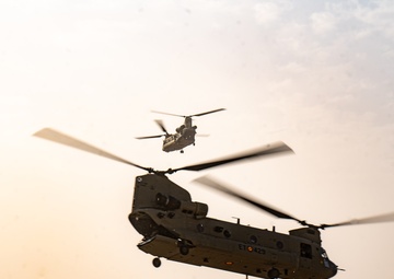 TF Cardinal &amp; TF Torro Joint Flight