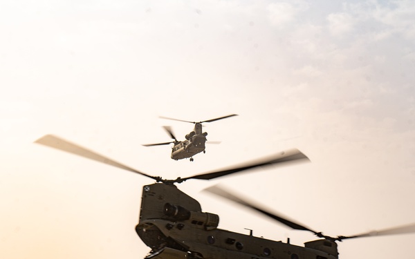 TF Cardinal &amp; TF Torro Joint Flight