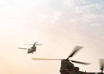 TF Cardinal &amp; TF Torro Joint Flight