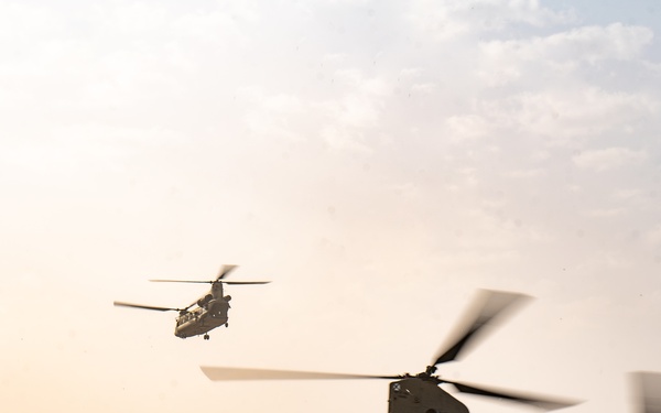 TF Cardinal &amp; TF Torro Joint Flight