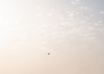 TF Cardinal &amp; TF Torro Joint Flight