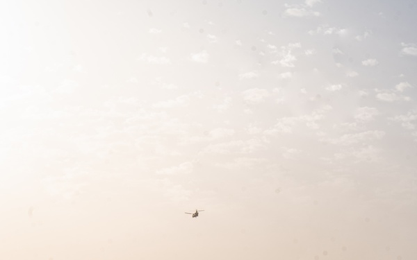 TF Cardinal &amp; TF Torro Joint Flight