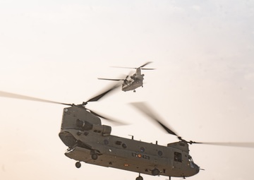 TF Cardinal &amp; TF Torro Joint Flight