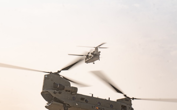 TF Cardinal &amp; TF Torro Joint Flight