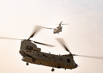 TF Cardinal &amp; TF Torro Joint Flight