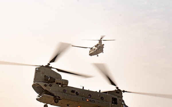 TF Cardinal &amp; TF Torro Joint Flight