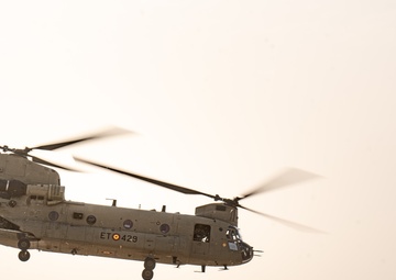 TF Cardinal &amp; TF Torro Joint Flight