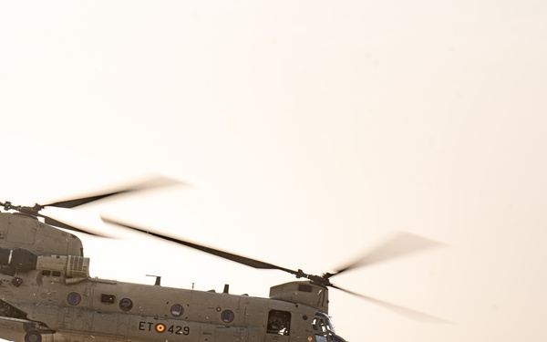 TF Cardinal &amp; TF Torro Joint Flight