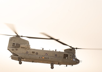 TF Cardinal &amp; TF Torro Joint Flight