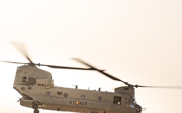 TF Cardinal &amp; TF Torro Joint Flight