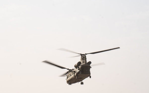 TF Cardinal &amp; TF Torro Joint Flight