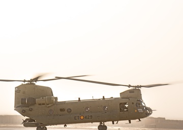 TF Cardinal &amp; TF Torro Joint Flight