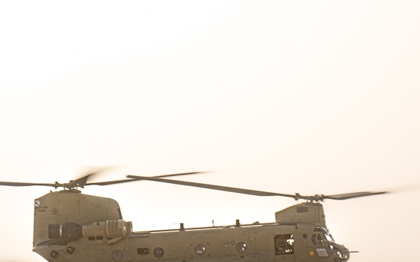 TF Cardinal &amp; TF Torro Joint Flight