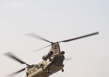 TF Cardinal &amp; TF Torro Joint Flight