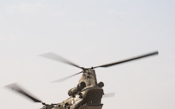 TF Cardinal &amp; TF Torro Joint Flight