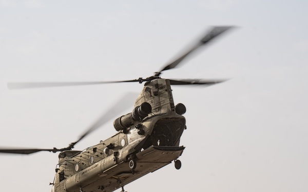 TF Cardinal &amp; TF Torro Joint Flight