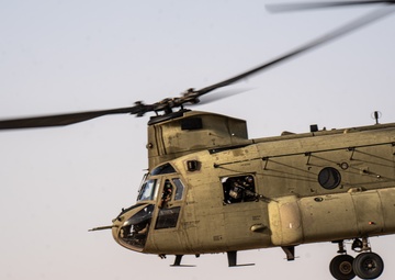 TF Cardinal &amp; TF Torro Joint Flight