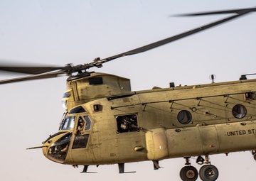 TF Cardinal &amp; TF Torro Joint Flight