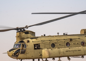 TF Cardinal &amp; TF Torro Joint Flight