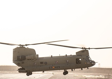 TF Cardinal &amp; TF Torro Joint Flight