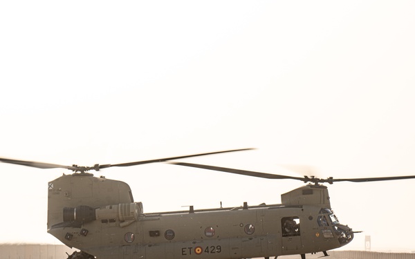 TF Cardinal &amp; TF Torro Joint Flight