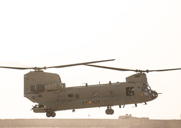 TF Cardinal &amp; TF Torro Joint Flight