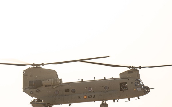 TF Cardinal &amp; TF Torro Joint Flight