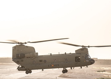 TF Cardinal &amp; TF Torro Joint Flight