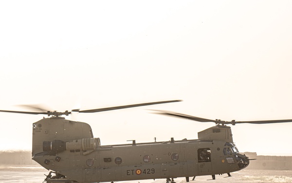 TF Cardinal &amp; TF Torro Joint Flight