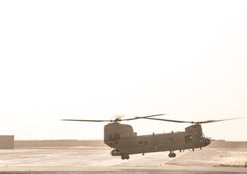 TF Cardinal &amp; TF Torro Joint Flight