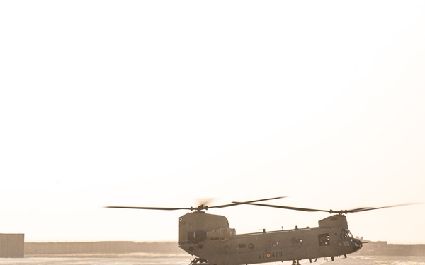 TF Cardinal &amp; TF Torro Joint Flight