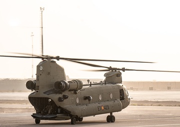 TF Cardinal &amp; TF Torro Joint Flight