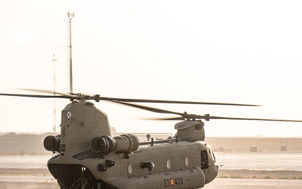 TF Cardinal &amp; TF Torro Joint Flight