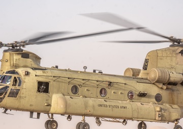 TF Cardinal &amp; TF Torro Joint Flight