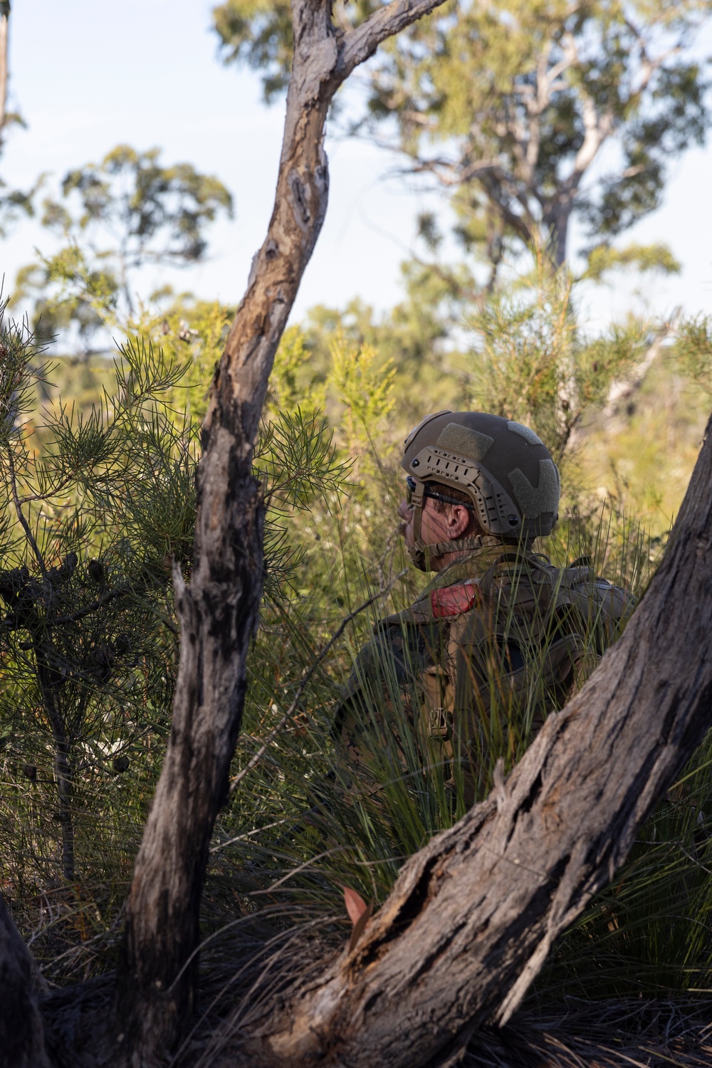 Wallaby Walk 24: U.S. Marines, Soldiers, ADF participate in route clearance