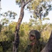 Wallaby Walk 24: U.S. Marines, Soldiers, ADF participate in route clearance