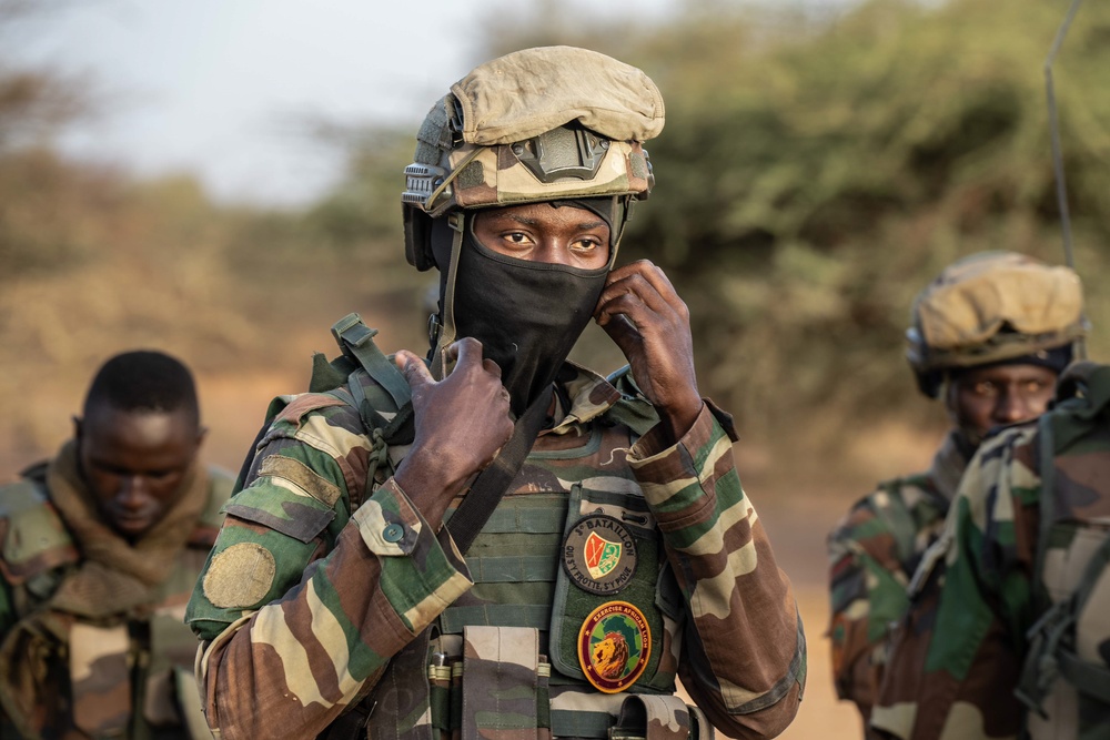 US, Netherlands conduct dry-fire exercise with Senegal