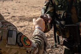 US, Netherlands conduct dry-fire exercise with Senegal