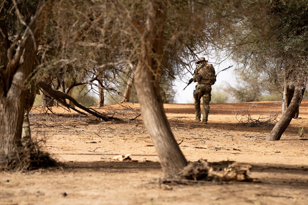 US, Netherlands conduct dry-fire exercise with Senegal