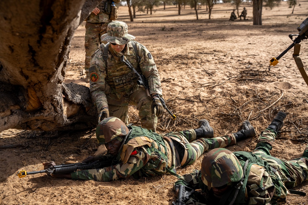 US, Netherlands conduct dry-fire exercise with Senegal