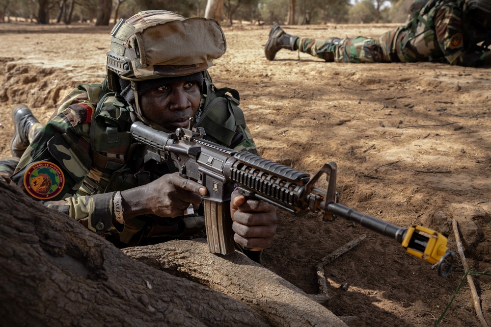 US, Netherlands conduct dry-fire exercise with Senegal